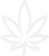 icono 3